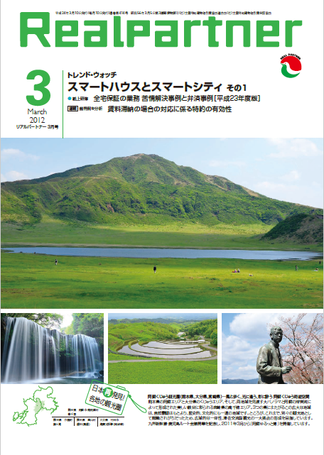 リアルパートナー2011年度年３月号：表紙